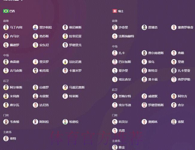 世界杯专家预测：精彩赛事前瞻与独家分析